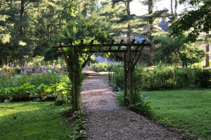 448A084C-212C-4EB4-824F-4AACED90D3E0