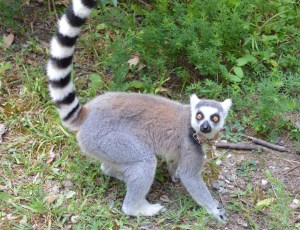 B8755DFD-278B-4B0E-9479-1F40A855C796