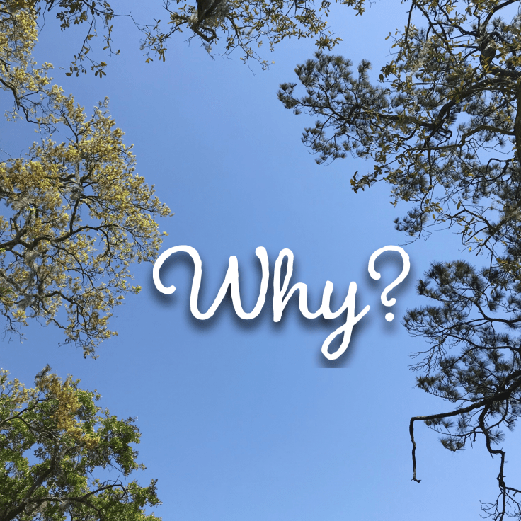 041BC30D-5094-45BE-A030-5465E37E7D69