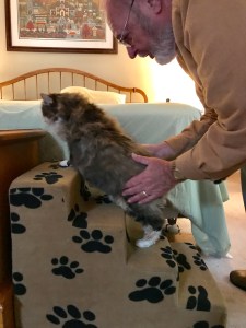 CBF1A2C4-416C-4ACF-956B-8DAD621F7EE0